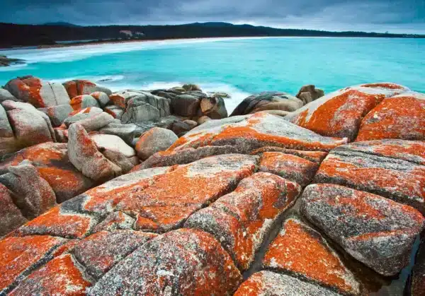 Tasmania’s Bay of Fires: Off-Roading Along the Stunning Coastline