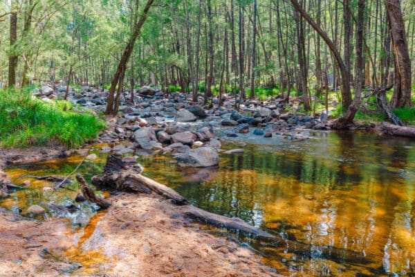 Trekking Through Time: Historical Hikes in New South Wales