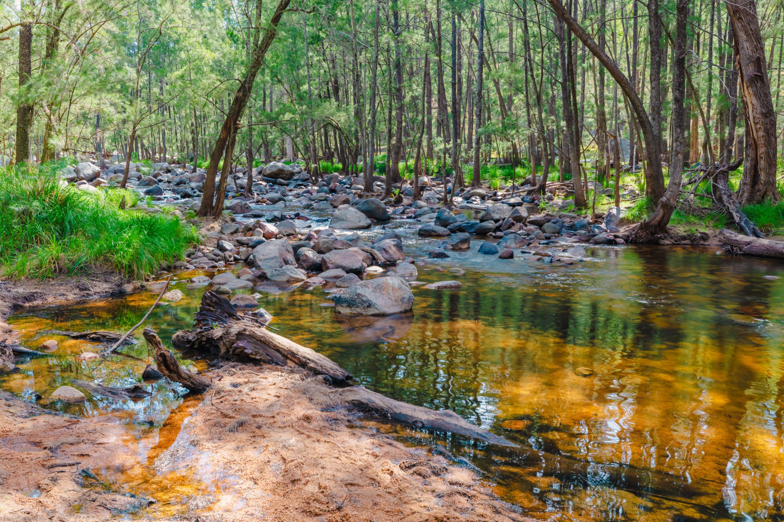 Trekking Through Time: Historical Hikes in New South Wales