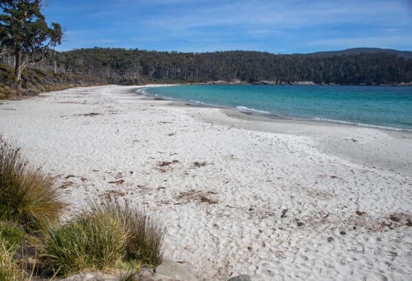 Sustainable Travel in the Tasmanian Wilderness