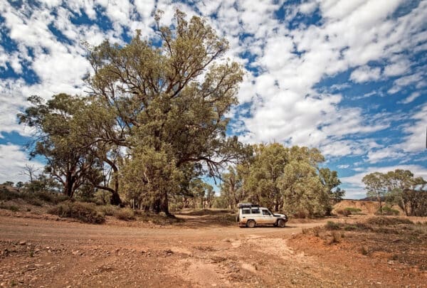 Off-Road Vehicle Customizations in the Flinders