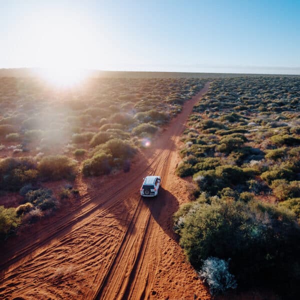 The Connected Drive: How Cars Enhance Our Travel Experience