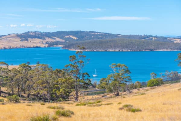Off-Roading Tasmania’s West Coast: A Journey Through Pristine Wilderness
