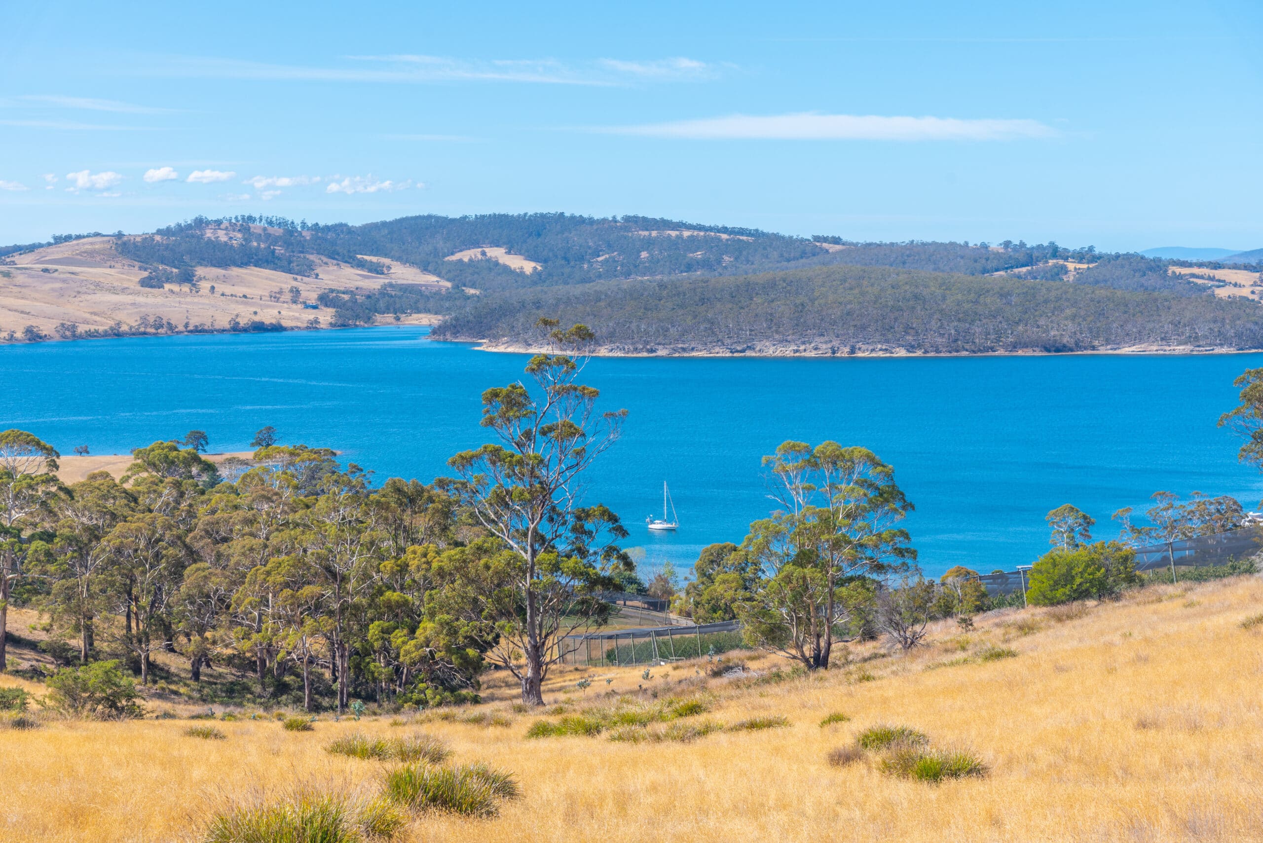 Off-Roading Tasmania’s West Coast: A Journey Through Pristine Wilderness