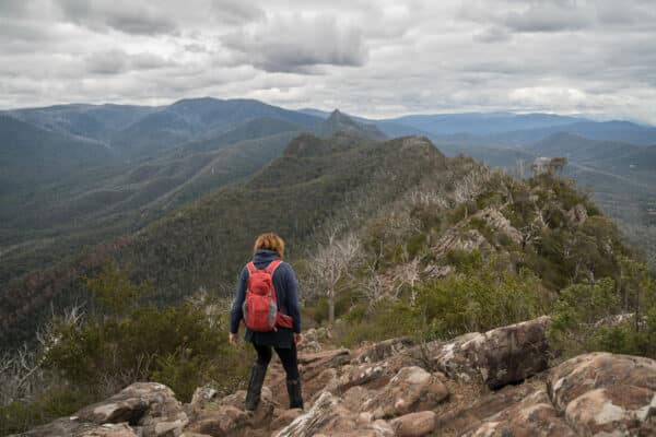 Top 5 Hiking Trails in Victoria for Avid Nature Lovers