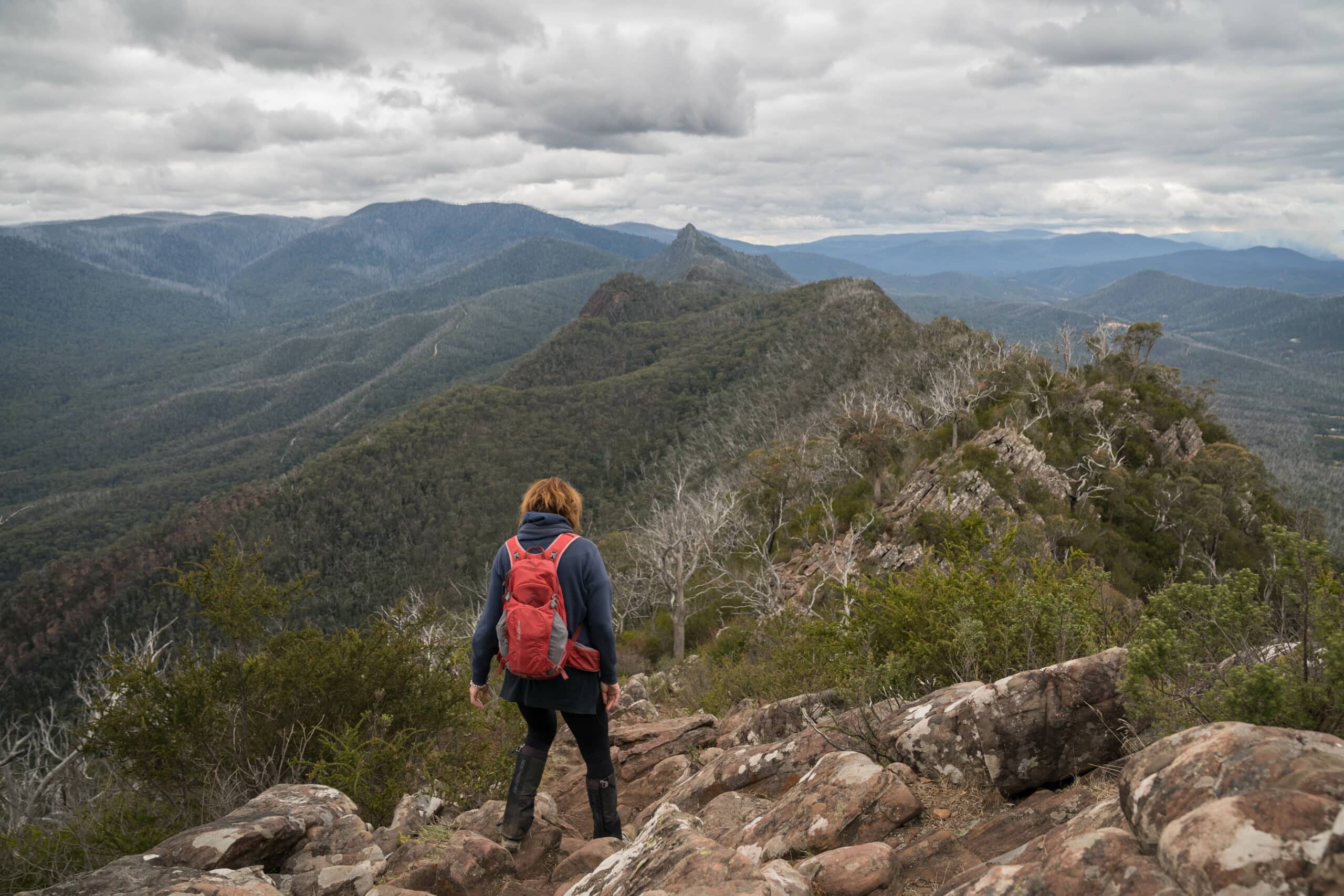 Top 5 Hiking Trails in Victoria for Avid Nature Lovers