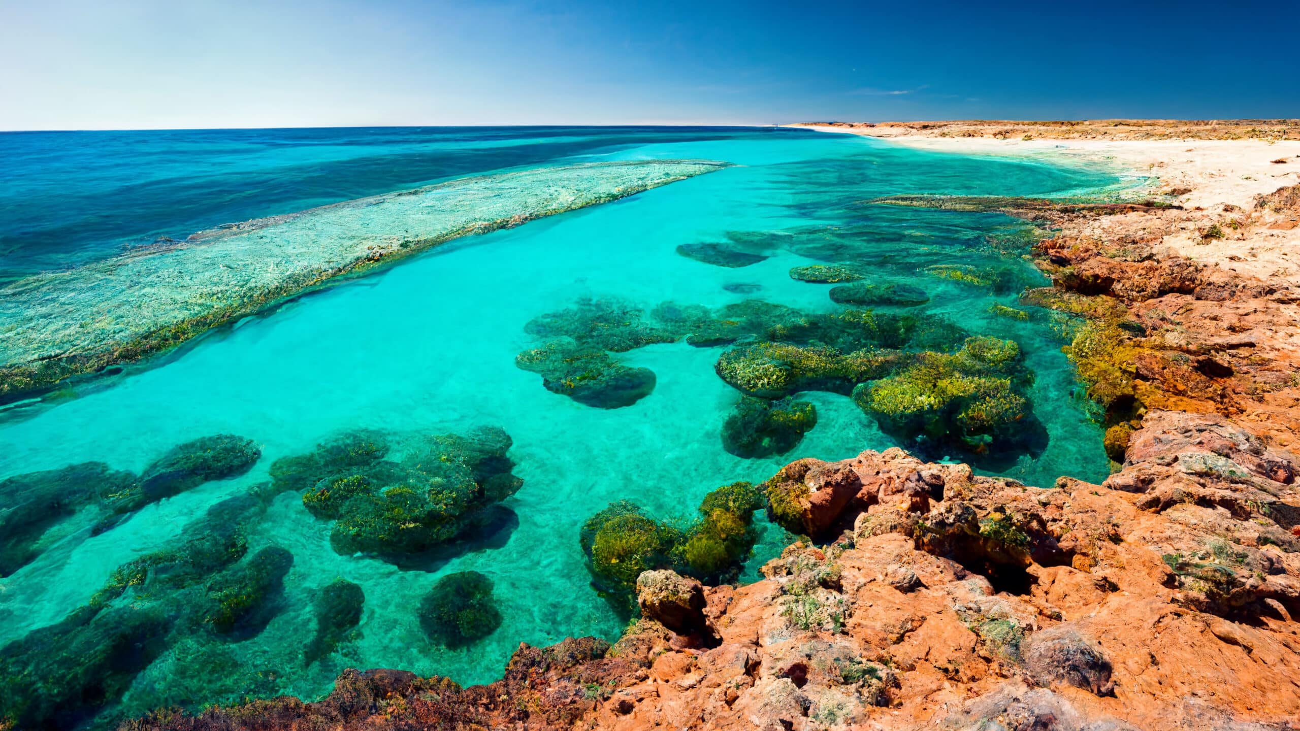 Beneath the Waves: Exploring Australia’s Best Scuba Diving Spots