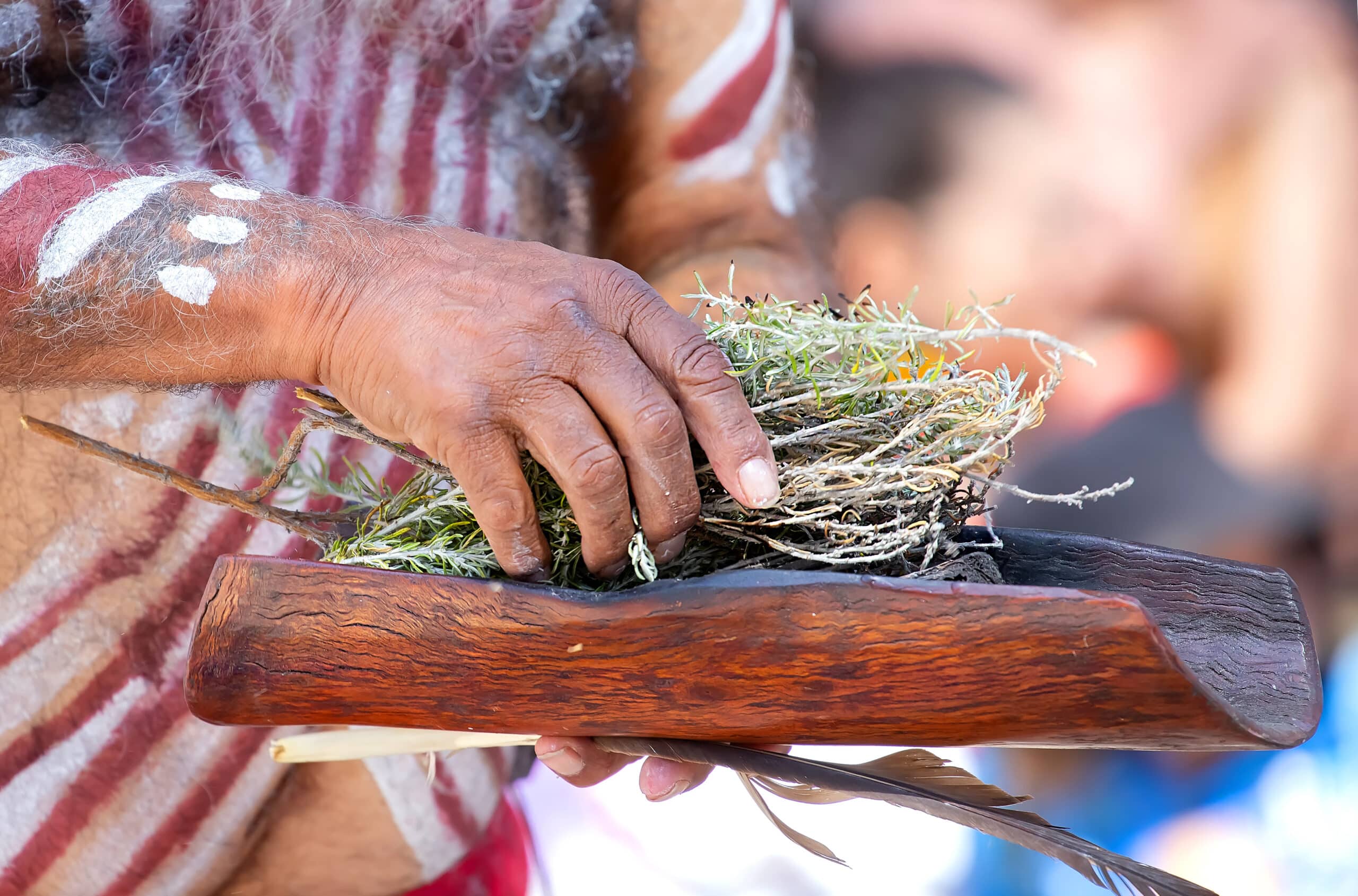 Cultural Crossroads: Exploring Indigenous Traditions in Queensland