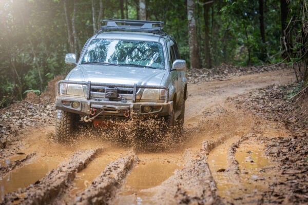 Behind the Wheel: Interviews with Road-Travel Enthusiasts