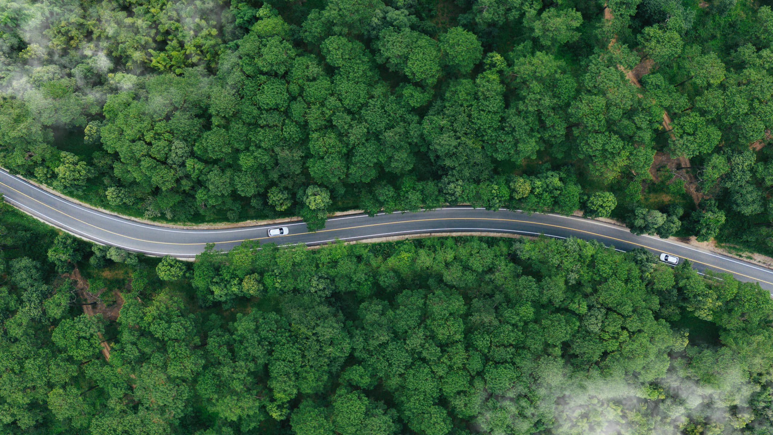 Sustainability On Wheels: Eco-Friendly Travel Tips