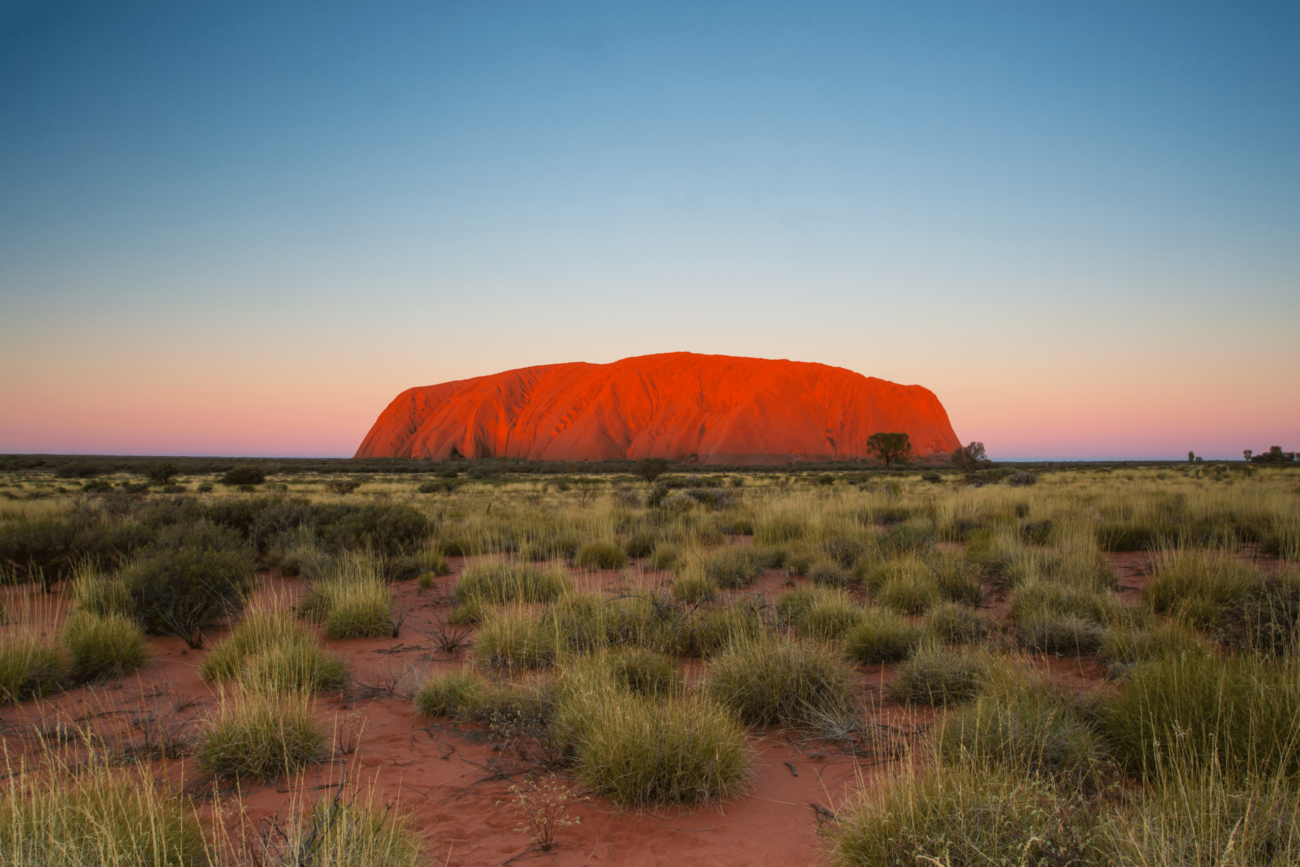 Cultural Chronicles: Immersing Myself in Aboriginal Traditions