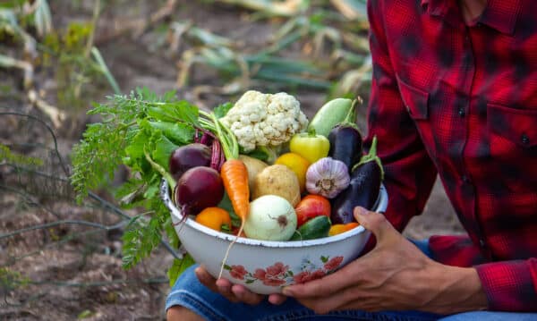 Foodie Trails: Culinary Journeys through Regional Australia