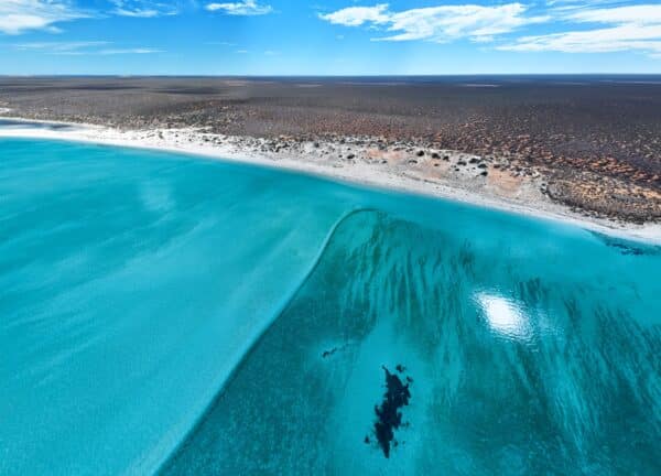 Western Australia’s Coral Coast: A Coastal Off-Road Adventure