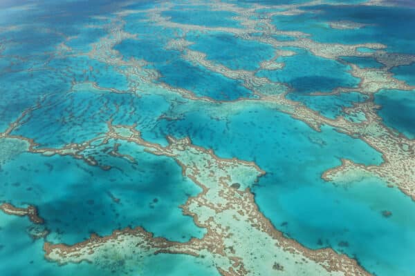 Dive In: My First Scuba Experience in the Great Barrier Reef