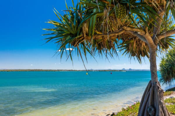 Off-Roading in Queensland: The Ultimate Adventure