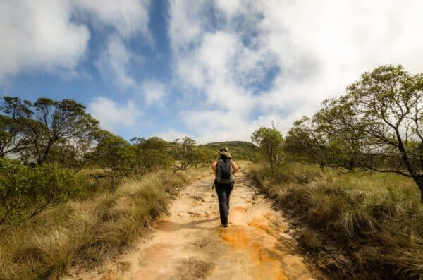 Scaling New Heights: Conquering Australia’s Iconic Hiking Trails