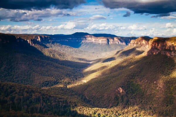 The Must-Know Survival Skills Every Camper Needs.