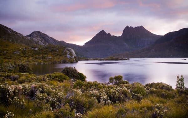 Tasmania’s Off-Road Beauty: A Journey Through the Wilderness