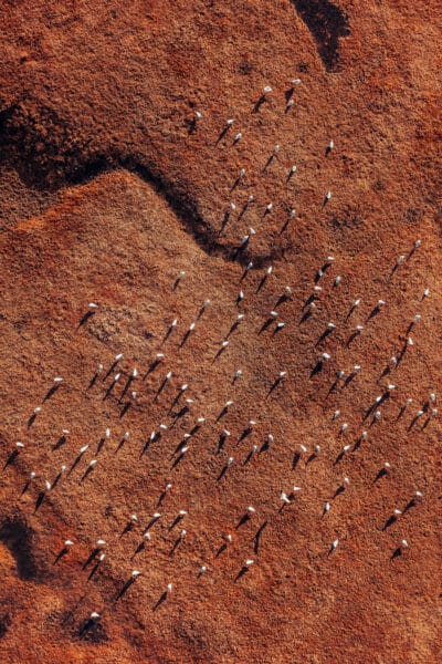 Ancient Whispers: Aboriginal Traditions in the Outback