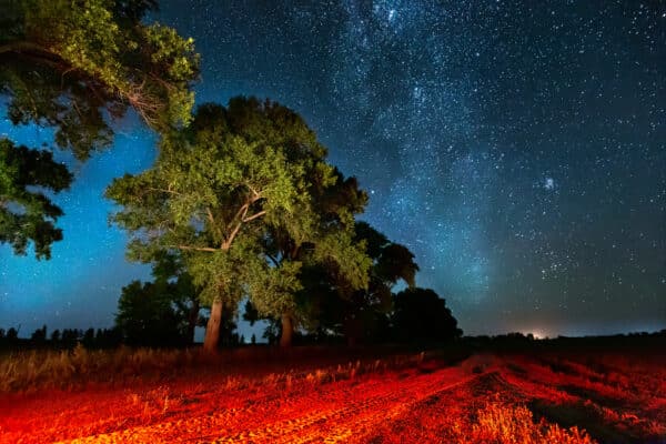 Camping Under the Stars: Night Sky Adventures in the Outback