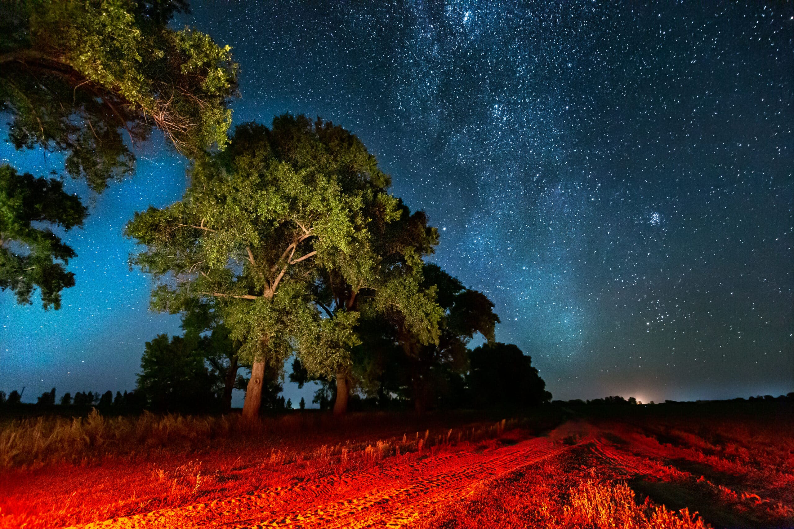 Camping Under the Stars: Night Sky Adventures in the Outback