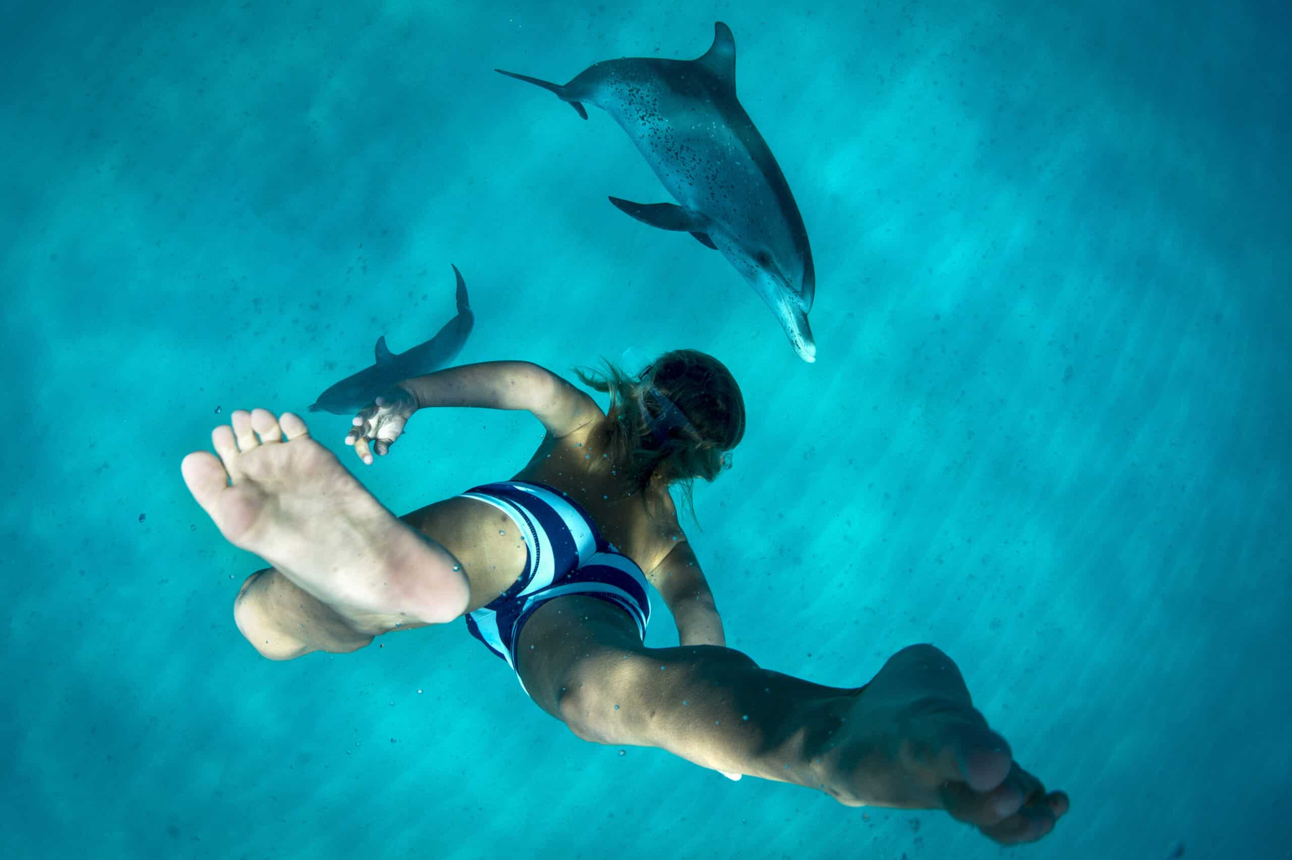Diving with Dolphins: A Magical Encounter in Jervis Bay