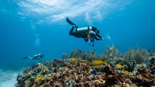Exploring the Depths: A Guide to Australia’s Best Diving Spots