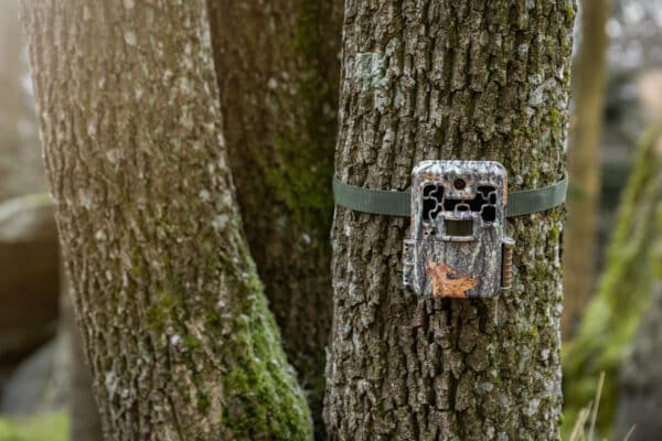 Best Off-Road Trail Cameras: A Detailed Review