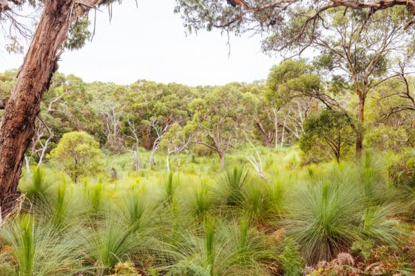 Tackling the Terrain in Victoria: Off-Roading Bliss